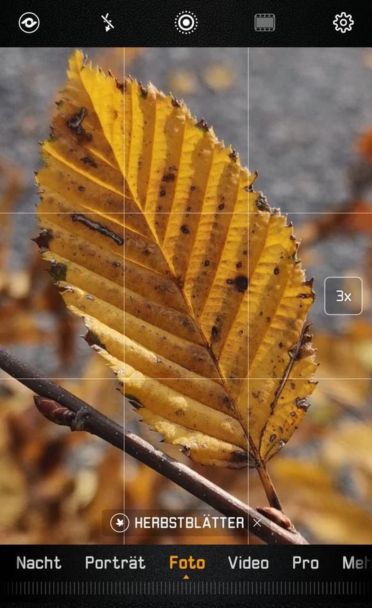 KI im Alltag: Die Handy-Kamera erkennt das Herbstblatt, wechselt in den Makro-Modus und reguliert die Tiefenschärfe.
