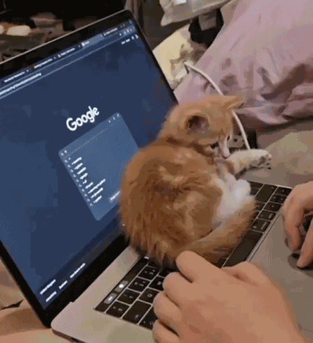 Animiertes GIF