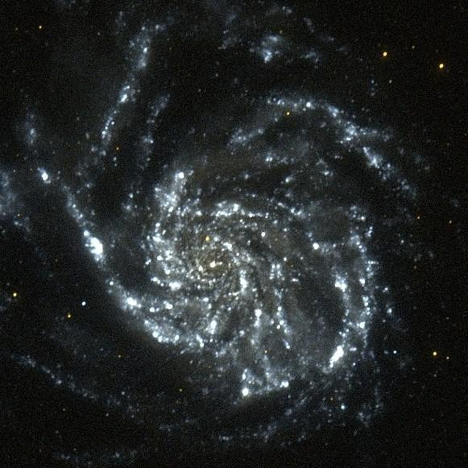 Galaxie Messier 101 (NGC 5457, Pinwheel-Galaxie oder Feuerrad-Galaxie), Ultraviolettaufnahme des GALEX-Weltraumteleskops
https://de.wikipedia.org/wiki/Messier_101#/media/Datei:Glx2008-01f_img02.jpg