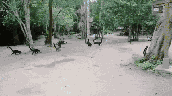 Animiertes GIF