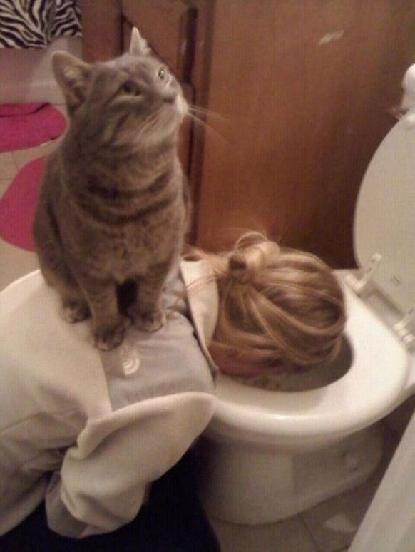 Lustige Bilder zum Faildienstag: Design-fails