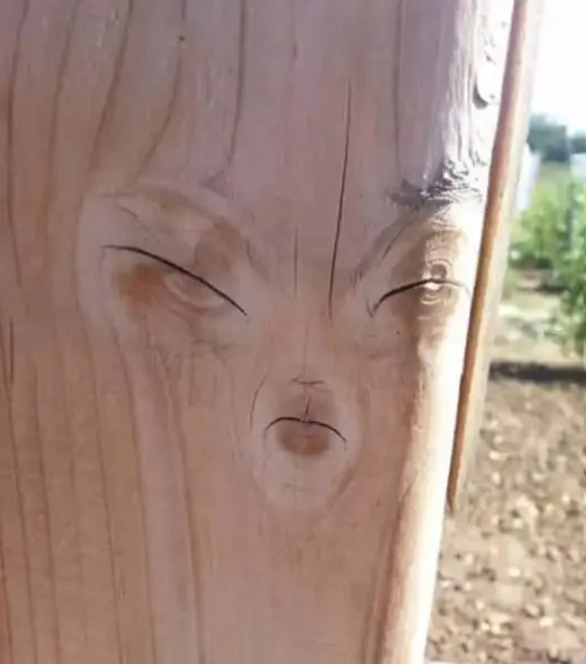 Pareidolie: Lustige Dinge mit Gesicht