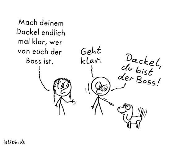 Diese 17 genialen Comics zeigen haargenau, wie es ist einen Hund zu haben
Einfach mal die Wahrheit aussprechen.