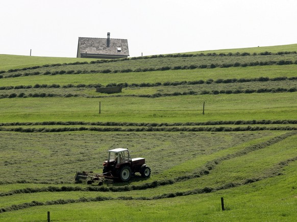 ZUR FORDERUNG DER KLEINBAUERN-VEREINIGUNG BEZUEGLICH EINER OBERGRENZE FUER DIREKTZAHLUNGEN AN SCHWEIZER BAUERN STELLEN WIR IHNEN AM DIENSTAG, 2. FEBRUAR 2016, FOLGENDES ARCHIVBILD ZUR VERFUEGUNG - Zwe ...