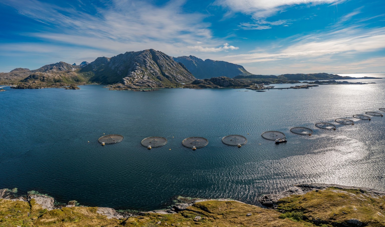 Die Aquakulturen befinden sich in offenen Netzkäfigen im Meer, wodurch Nährstoffe direkt in die empfindlichen Fjordsysteme gelangen.