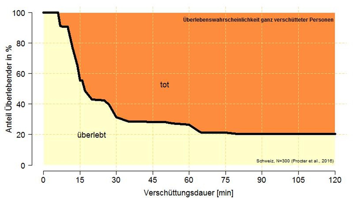 Lawinen Überlebenschance SLF