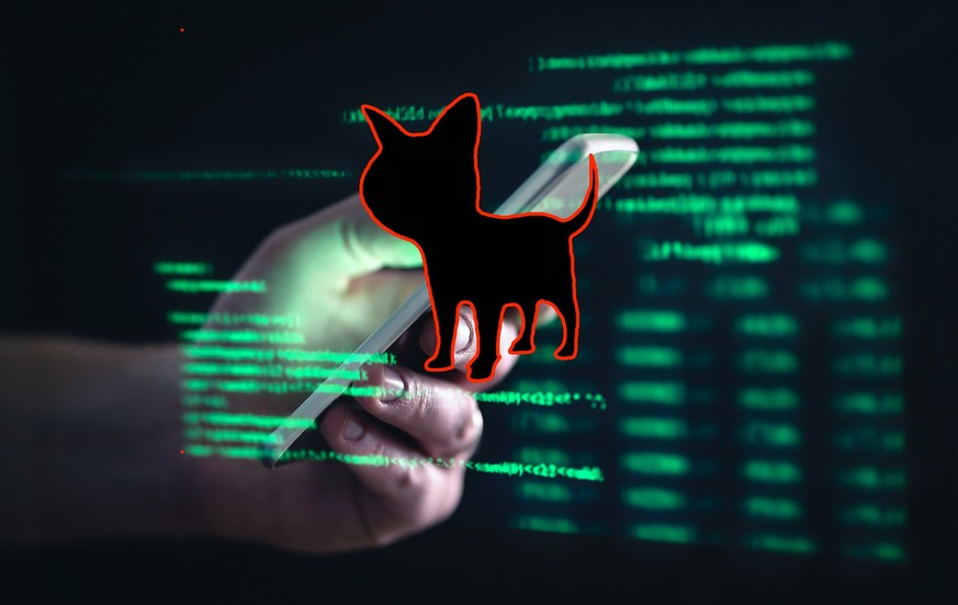 Die Ransomware-Bande ALPHV alias Blackcat hat die Schweizer Finanzdienstleisterin Finaport gehackt.