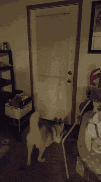Animiertes GIF