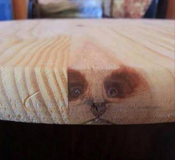 Panda wooden table with face