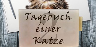 Tagebuch einer Katze, Woche 2: «Ich habe schreckliche Neuigkeiten: Sie ist weg!»