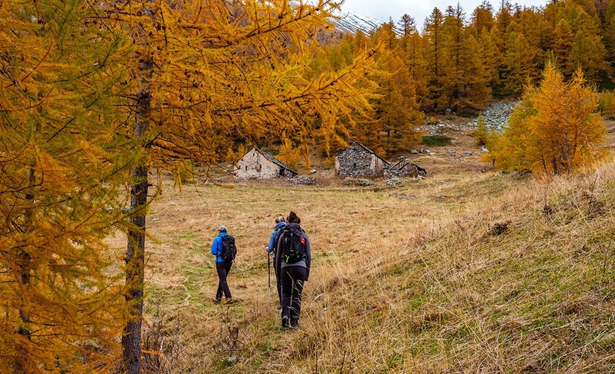 Herbstwanderung an der schweiz-italienischen Grenze Zwischbgerngen- und Bognancotal Monscerapass von Waira her Tschawinersee Rauszeit Lärchen