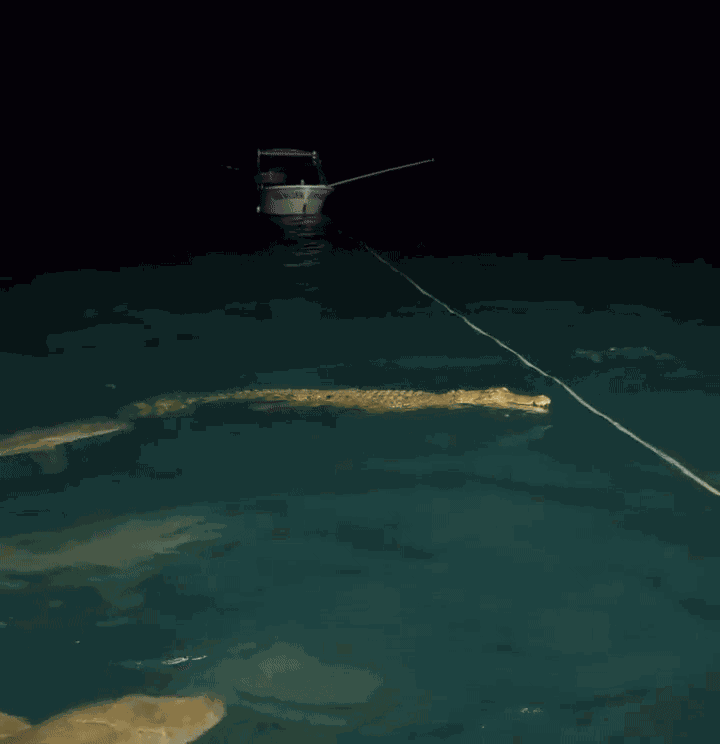 Animiertes GIF