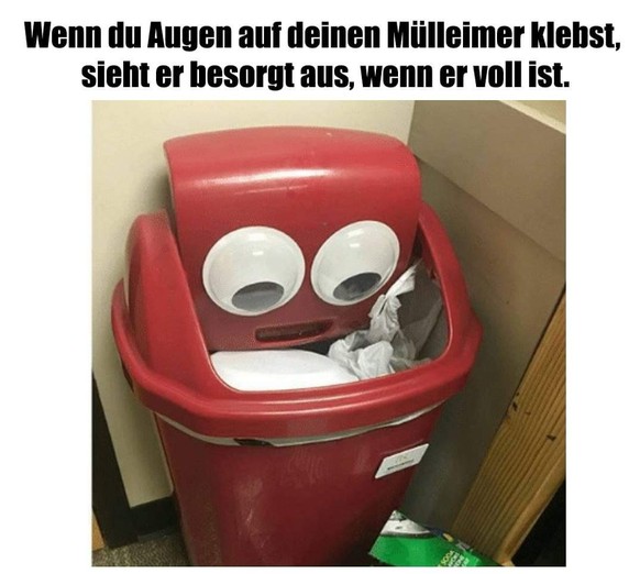 Picdump #24 – von der Community, für die Community\nDer Arme... Wie er guckt... 😳