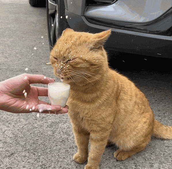 Animiertes GIF