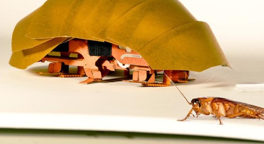 Unverwüstliche Kakerlake als Vorbild: Dieser Roboter soll bei Katastrophen helfen