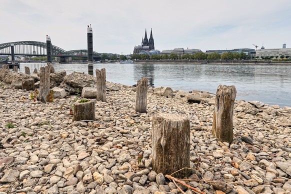 Remains of the post-World War II Patton Bridge are exposed during historically low water levels of the Rhine River during a heat wave and a prolonged drought, across from the Cologne Cathedral in Colo ...