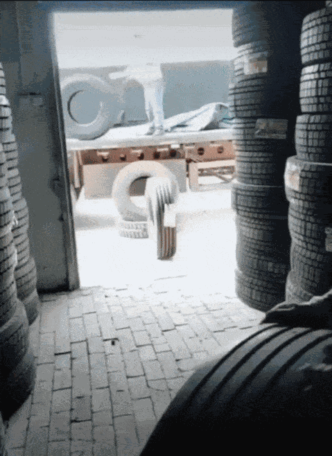 Animated GIF
