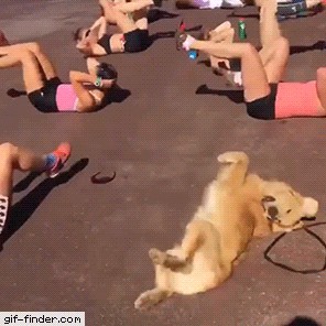 Sag alle deine Termine ab! So viele Tierbilder gab's noch nie
Tag 5

sie haben mich noch nicht entdeckt