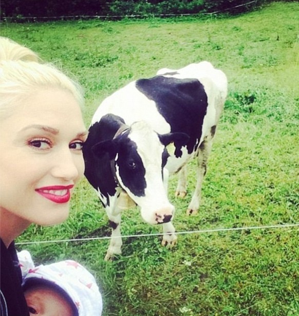 gwen stefani ferien schweiz 2014 baby apollo https://www.instagram.com/gwenstefani/