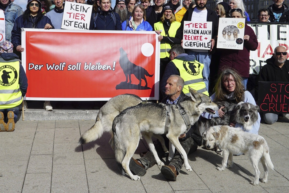 CNTV/WOLFSDEMO- Tierschuetzer Wolfsfreunde Demonstranten mit Schilder und Plakaten und Woelfen bei der Demo Freiheit fuer den am Jungfernstieg eingefangenen Wolf am Hamburger Jungfernstien am Oster So ...