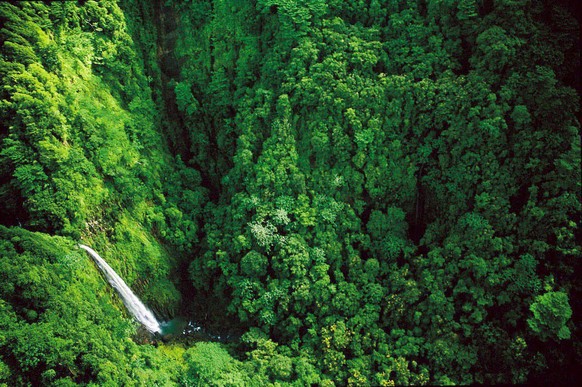 epa01472481 A Marviva handout picture dated November 2007 and made available on 31 August 2008 shows an aereal view of Coco Island, Costa Rica. Coco Island is one of five Central America natural sites ...