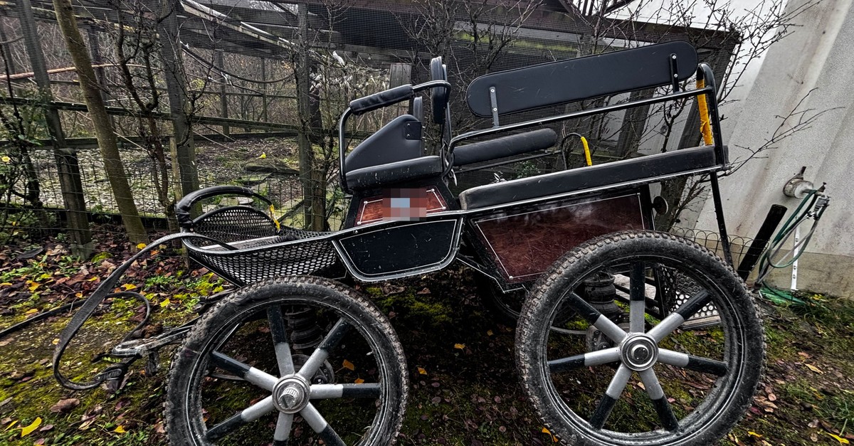 Pferde-gehen-in-Amlikon-Bissegg-TG-mit-einer-Kutsche-durch