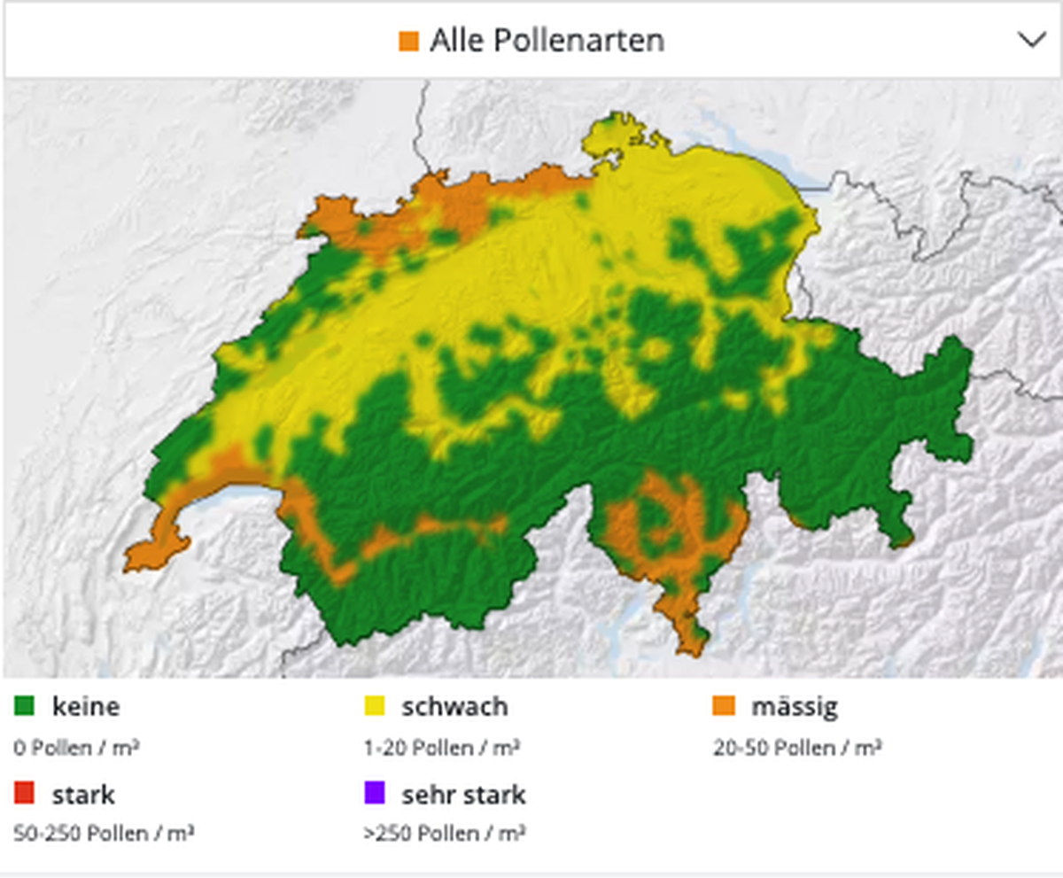 Die aktuelle Pollenbelastung in der Schweiz (2. Februar 2026).