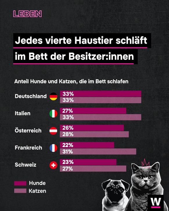 <p>Jedes vierte Haustier schläft im Bett von Herrchen oder Frauchen.</p>