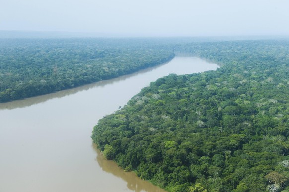 Regenwald rund um den Dzanga-Fluss, beim Besuch des Dzanga-Nationalparks im Dreilaendereck Kongo, Kamerun und Zentralafrikanische Republik in Bayanga, 13.03.2015. Bayanga Zentralafrikanische Republik  ...