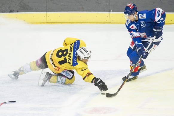 David Rundblad, rechts von Zuerich, kaempft um den Puck gegen Thomas Ruefenacht, links, von Bern, im dritten Playoff-Viertelfinalspiel der National League A zwischen den ZSC Lions und dem SC Bern am D ...