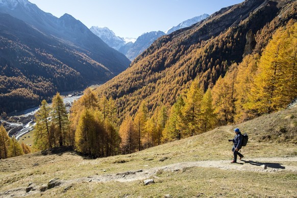 Louis returns from the Lac Bleu (2090m) during a beautiful autumn day, near Arolla, in Valais, Switzerland, this Wednesday, October 18, 2017. (KEYSTONE/Anthony Anex)