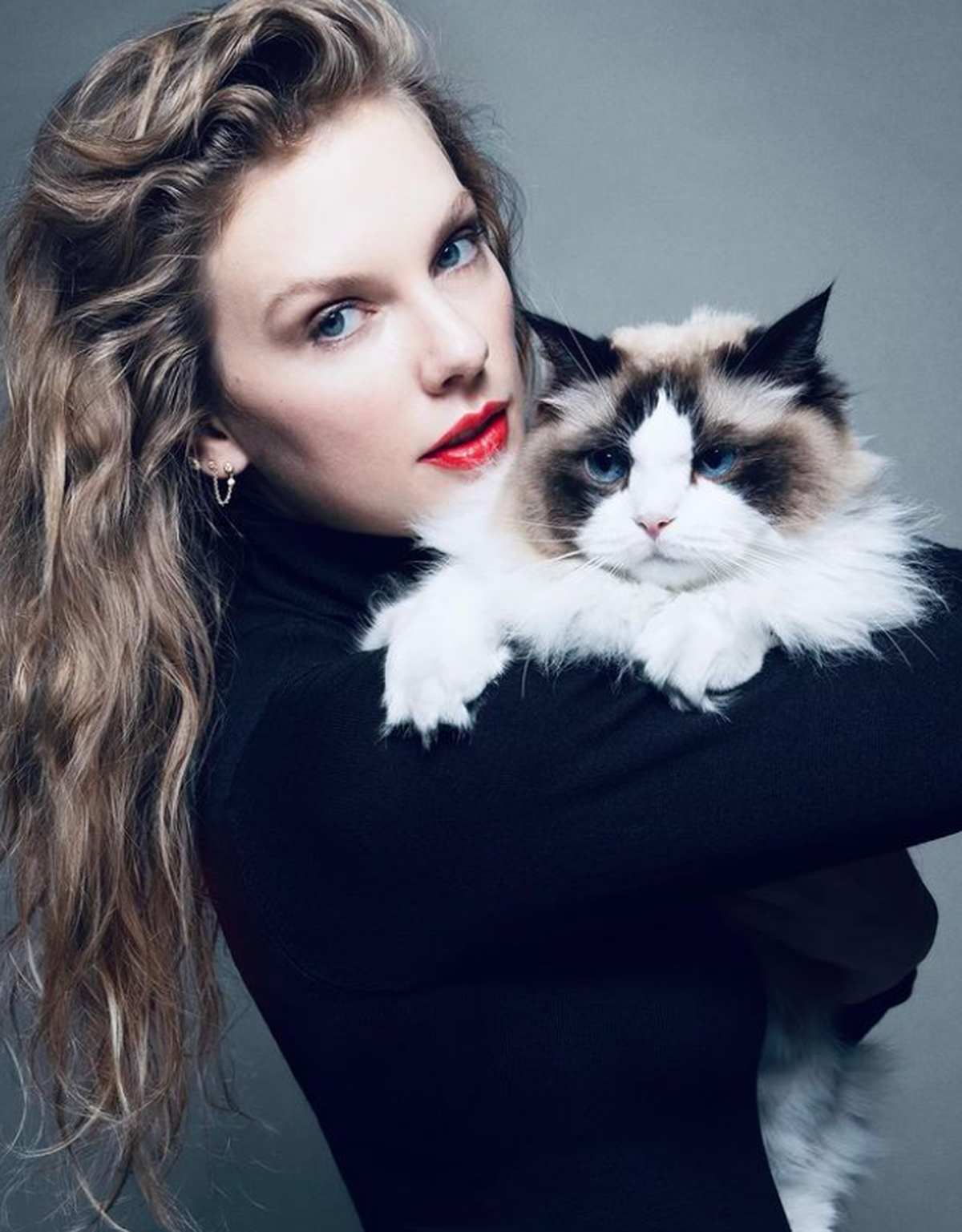 swift insta harris katze