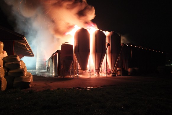 Beim Eintreffen der Feuerwehr seien Silos und Gebäude in Flammen gestanden.&nbsp;