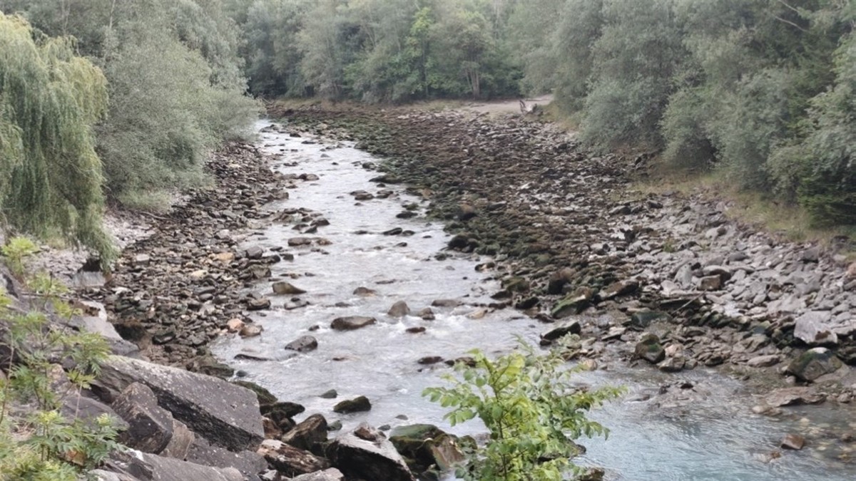 Tausende-Fische-sterben-wegen-technischer-St-rung-bei-Kraftwerk-in-Sils-GR