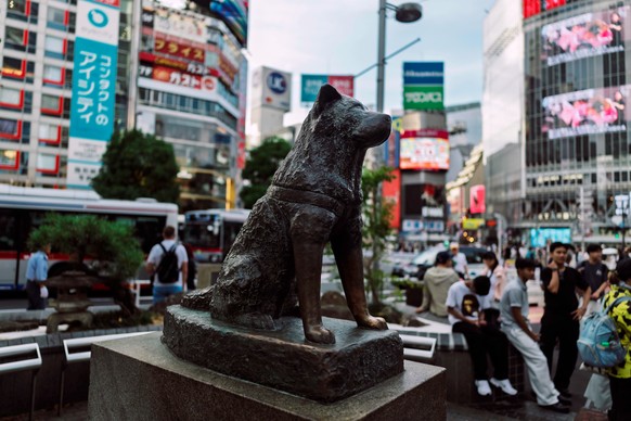 epa12358543 The bronze Hachiko statue, honoring the famously loyal Akita dog Hachiko, stands outside the Shibuya Station in Tokyo, Japan, 02 September 2025 (issued 06 September 2025). EPA/ALEX PLAVEVS ...