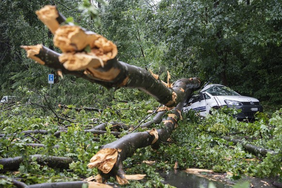 Umgestuerzte Baeume und abgebrochene Aeste haben nach dem schweren Unwetter auf dem Kaeferberg in Zuerich am Dienstag, 13. Juli 2021, Autos begraben und stark beschaedigt. Kraeftige Gewitter mit Stark ...