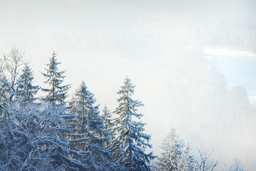 Luftbild des Flusses und schneebedeckter Wald nach einem Blitzschlag in einem Morgenhaze. Brände, Nahaufnahme. Klar blauer Himmel. Winterwunderland. Gauja Nationalpark, Sigulda, Lettland