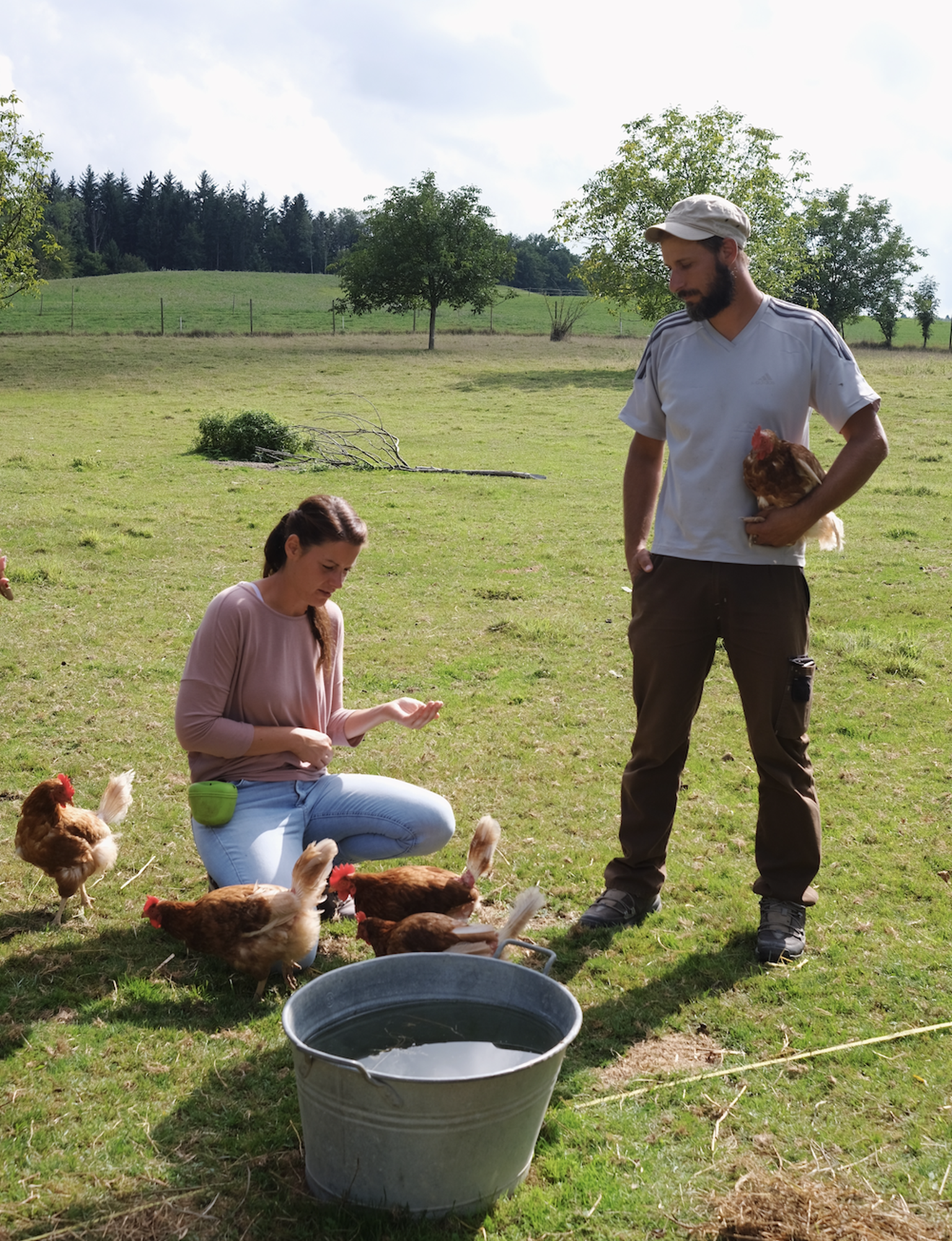 Massentierhaltung, Tierhaltung, Bauernhof, Lebenshof, Umstellung Landwirtschaft, Bio, Tierhaltung, Massentierhaltungsinitative