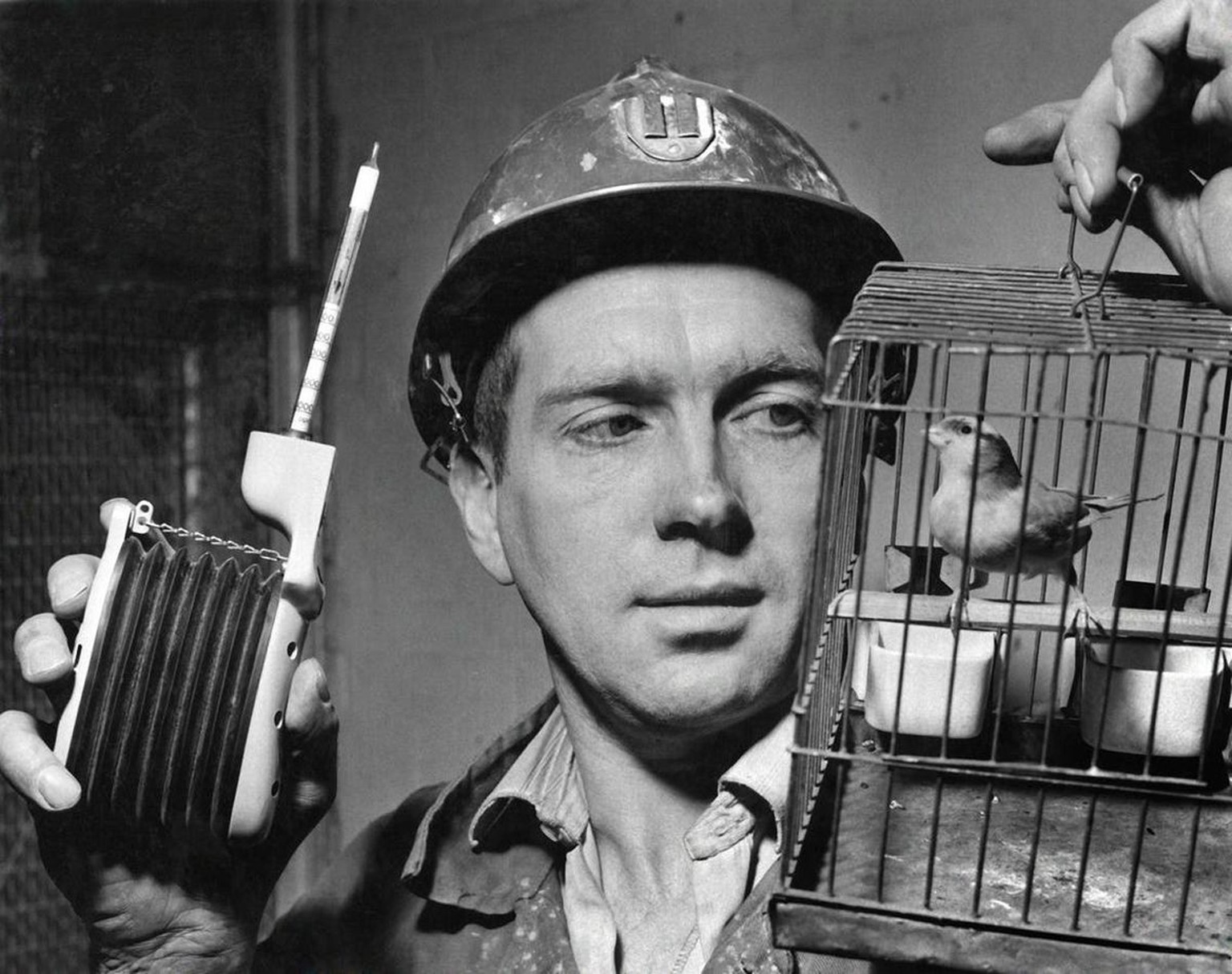 Minenarbeiter mit Kanarienvogel