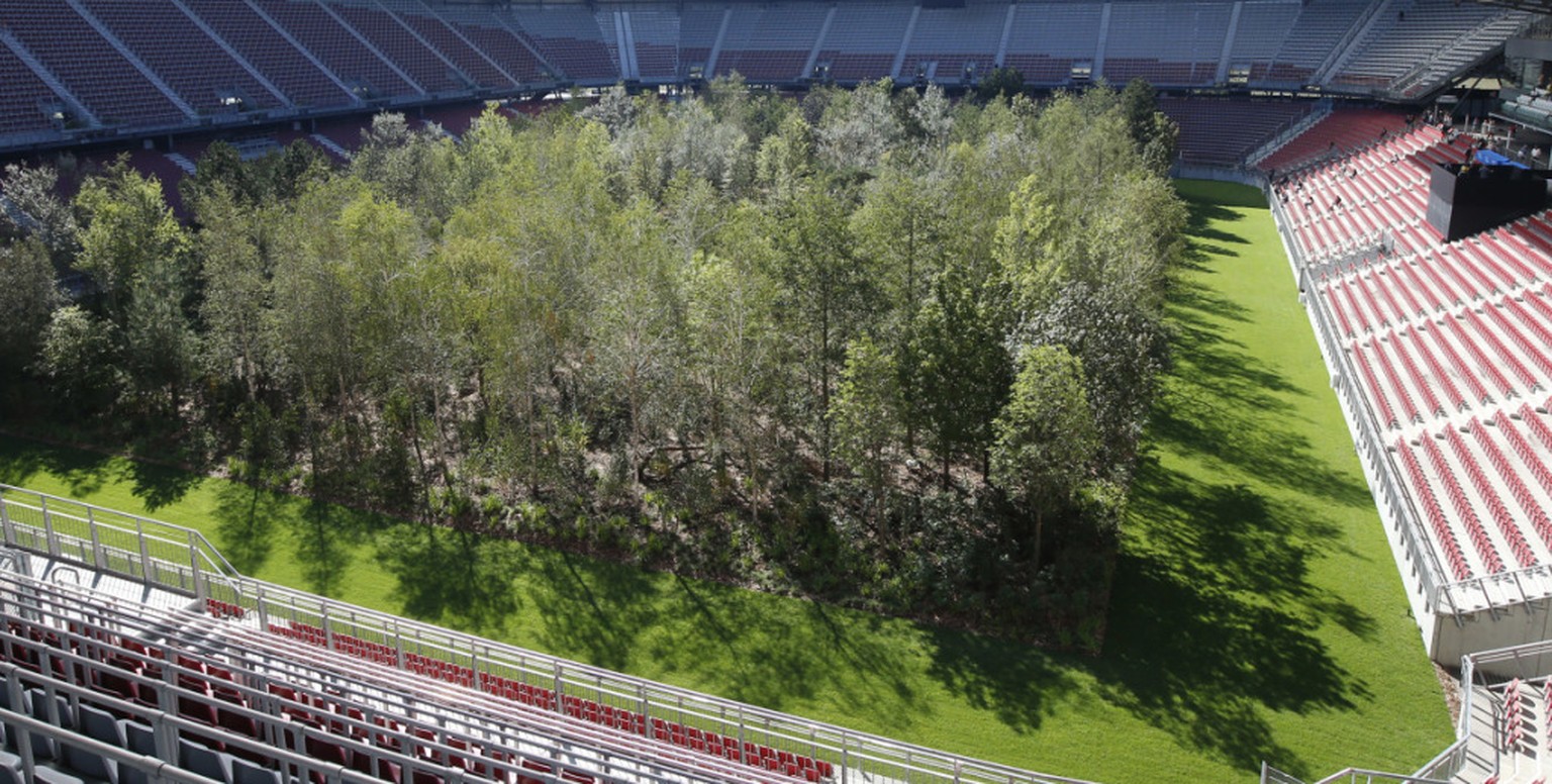 Im österreichischen Klagenfurt wächst ein Wald im Stadion.