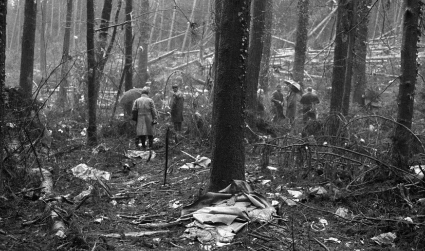 Die Trümmer des Flugzeuges liegen verstreut im Wald in der Nähe von Würenlingen.