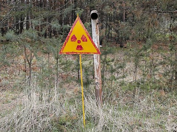 Ein Wald mit einem Warnschild ausserhalb von Tschernobyl. (Archivbild)