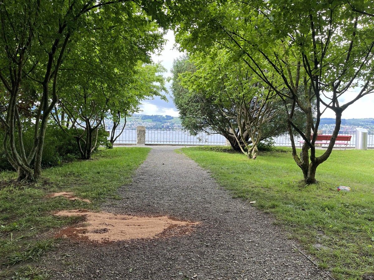 Alma Park in Männedorf