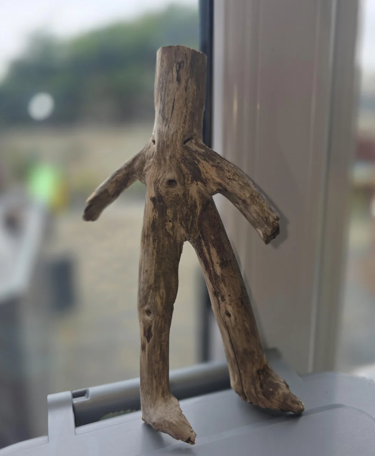 Pareidolie: Lustige Dinge mit Gesicht