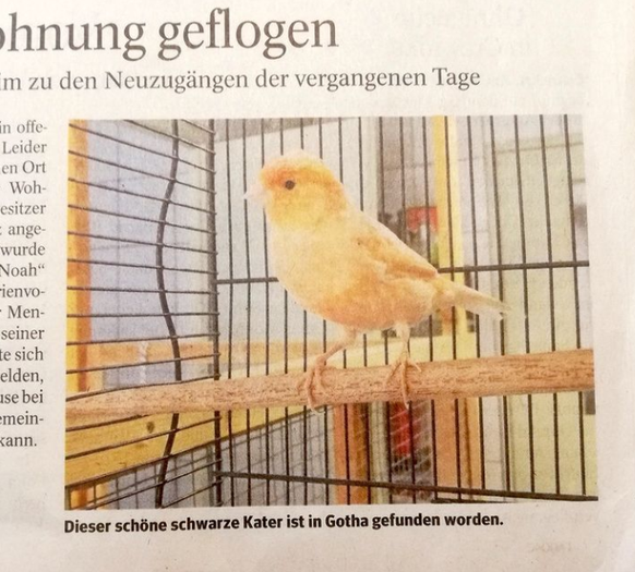 Cute News: Die herzigsten Tierbilder aus dem Internet.