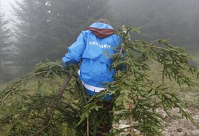 Ein Zivildienstler bei einem Gruppeneinsatz bei der Biotop-Pflege im Kanton Luzern.