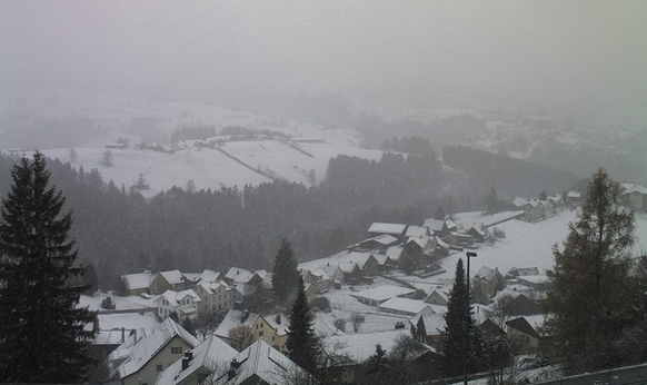 Rehetobel Webcam Schnee