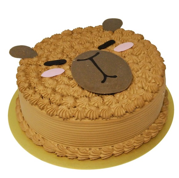 Vorstellung vs. Realität