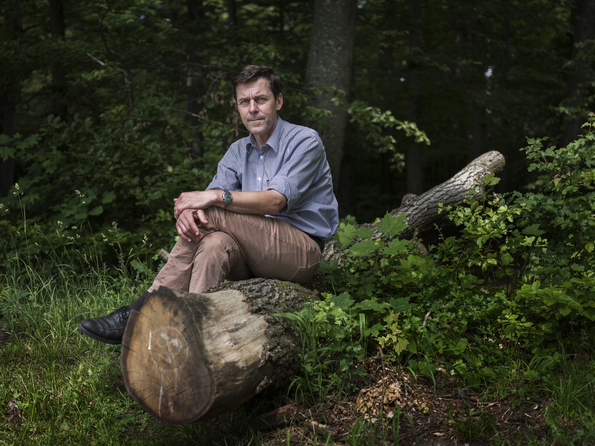 ZUR KEYSTONE-SDA-KULTUR SOMMERSERIE "INSPIRATIONSORTE" STELLEN WIR IHNEN ZUM HEUTIGEN TEXT UEBER PETER STAMM FOLGENDES BILDMATERIAL ZUR VERFUEGUNG --- Portrait of author Peter Stamm taken on ...