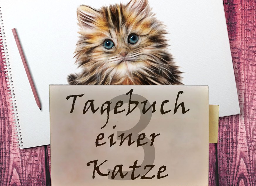 «Liebes Tagebuch, ich glaube, mein Mensch ist ein Monster!»